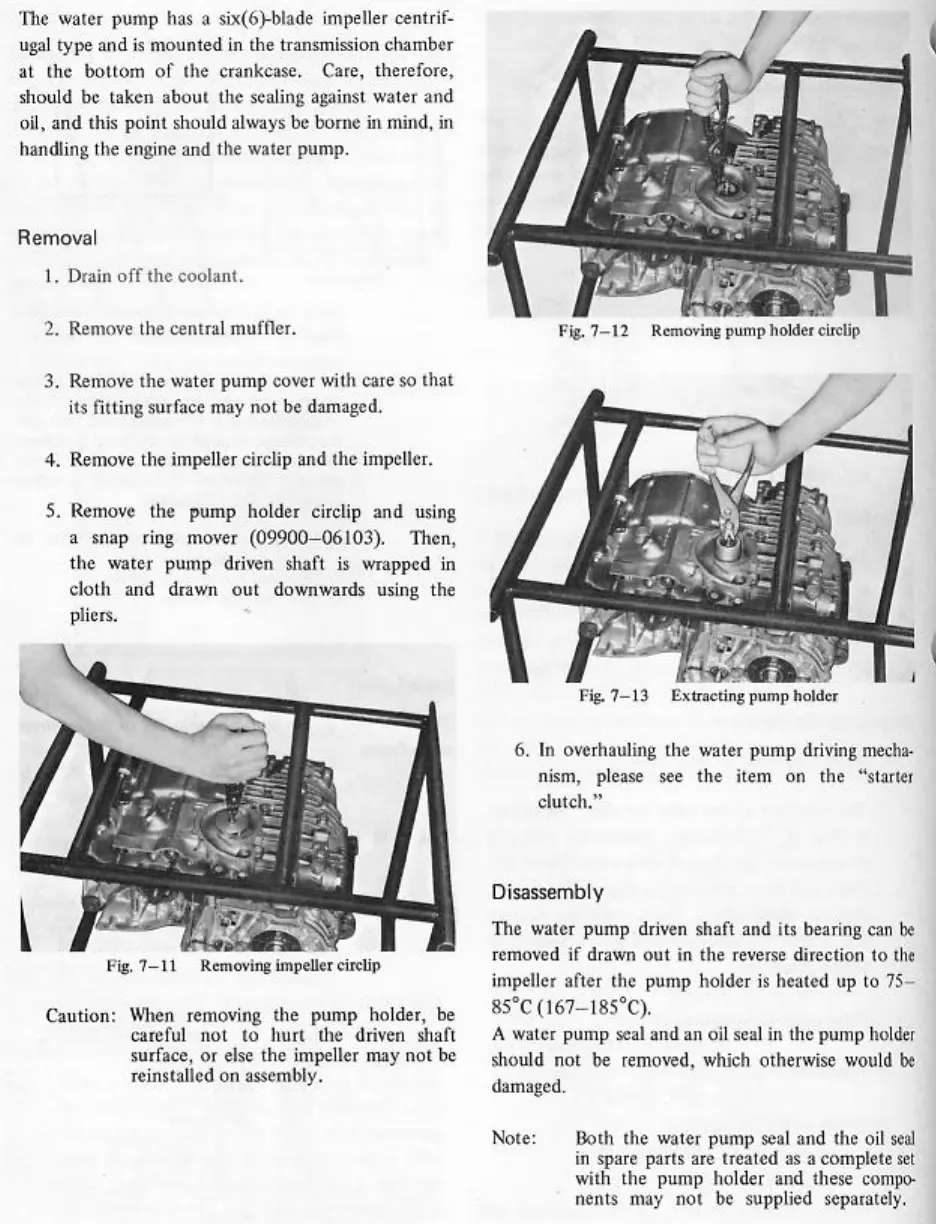 Page #66 background image