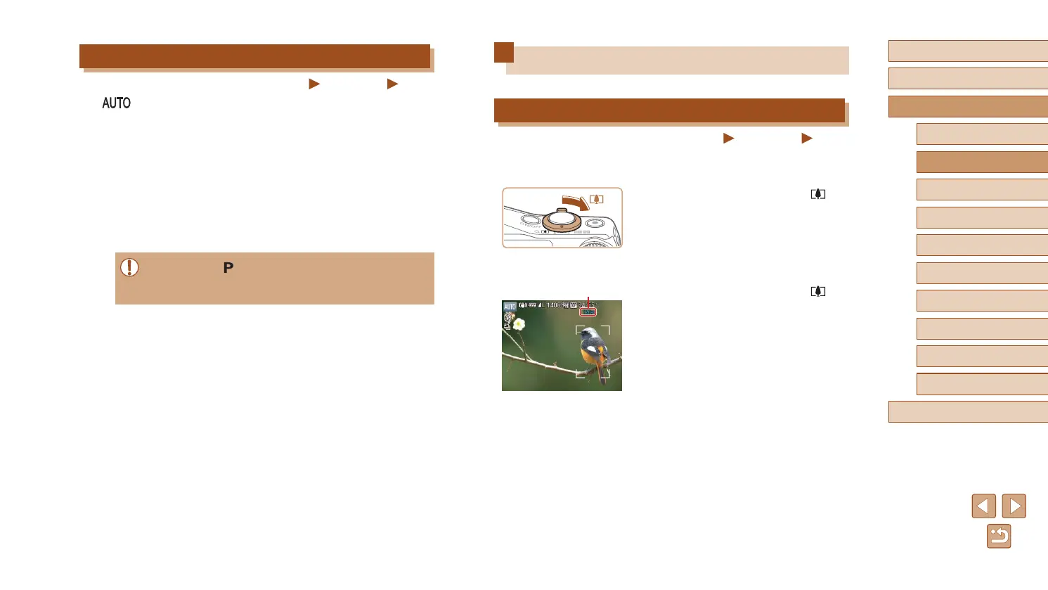 Page #37 background image