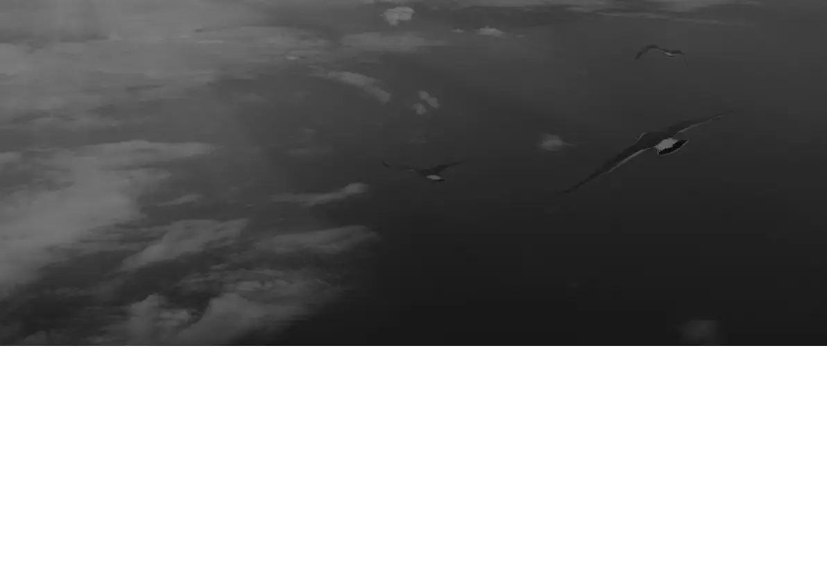 Page #330 background image