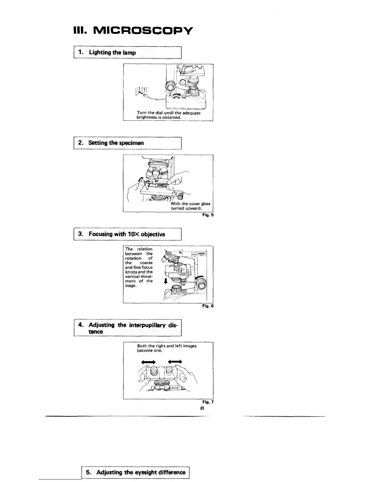 Page #8 background image