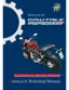 Preview: Workshop Manual