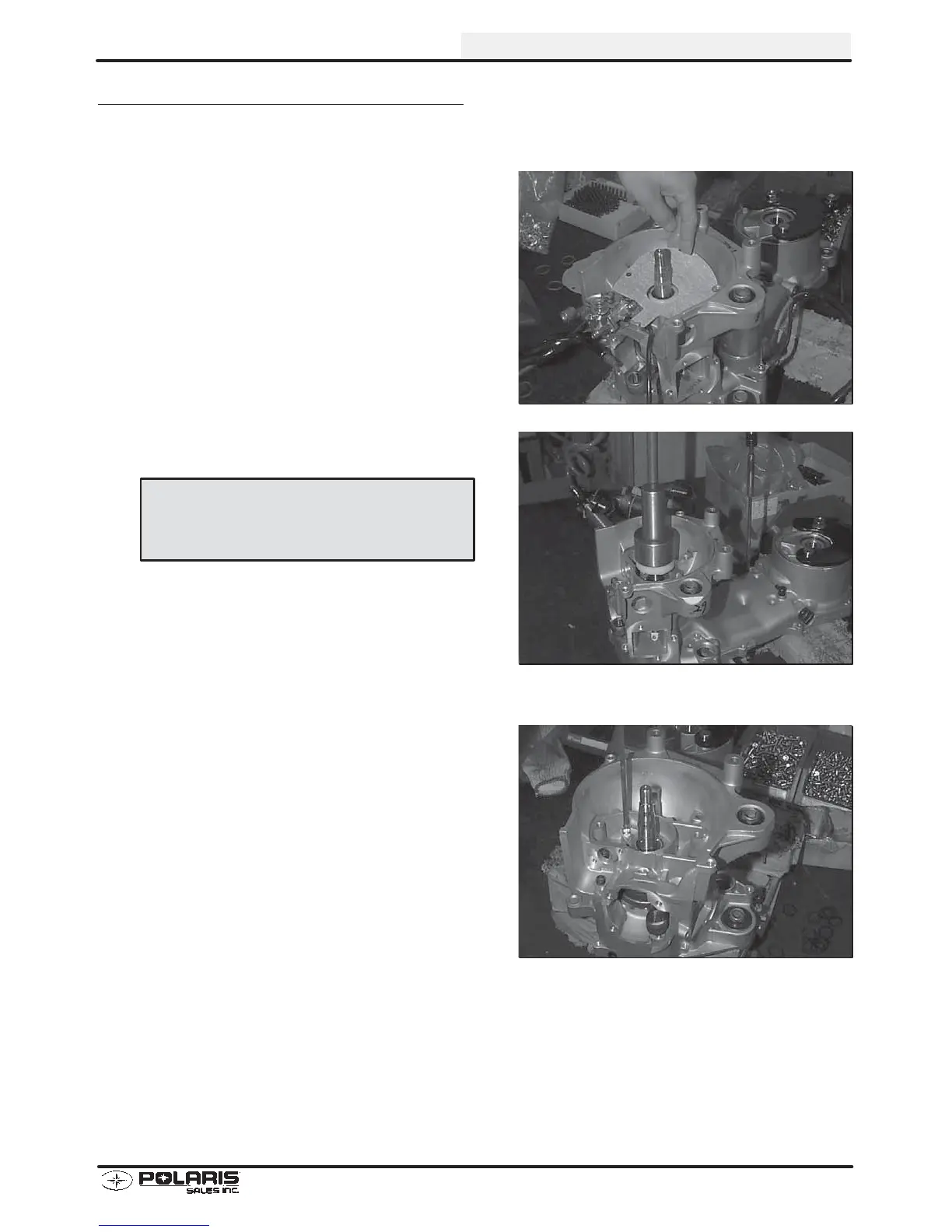 Page #43 background image