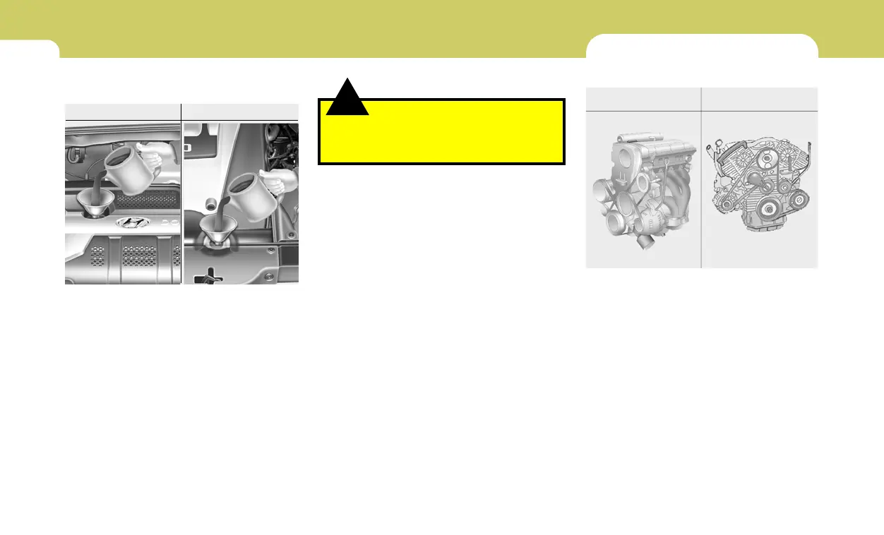 Page #225 background image