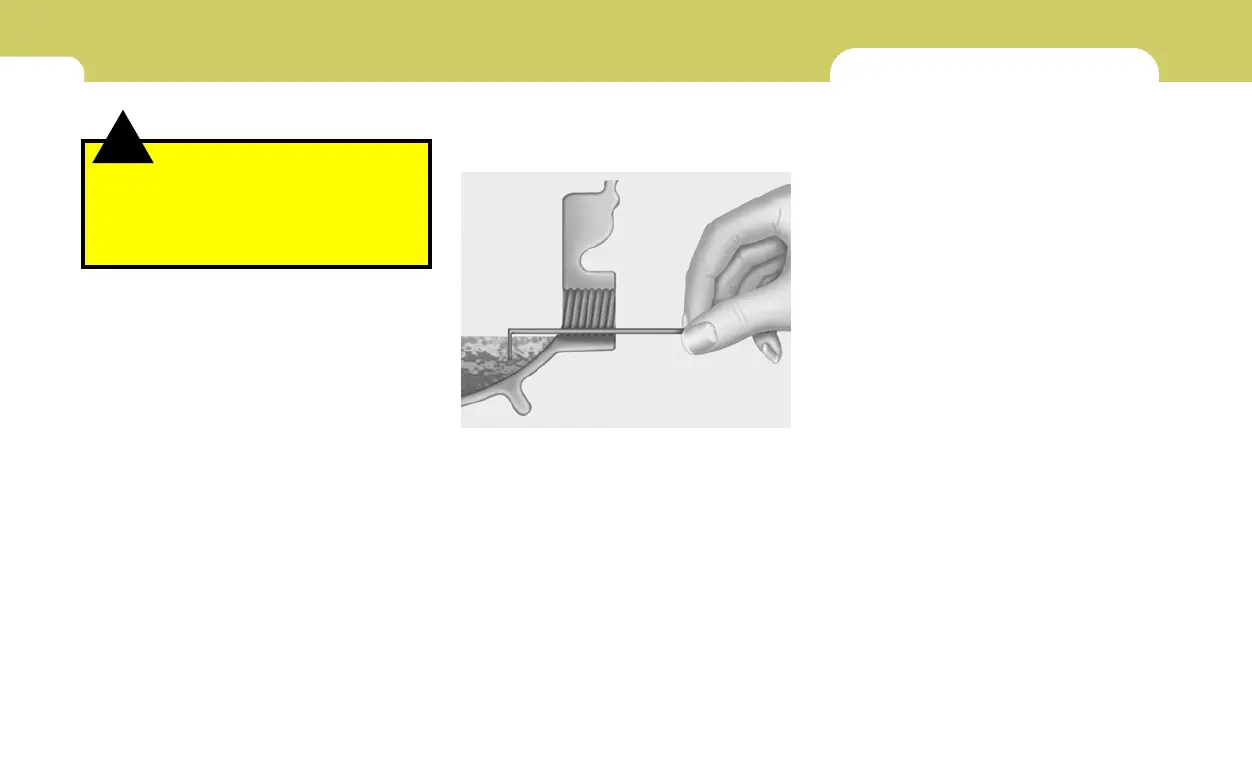 Page #231 background image