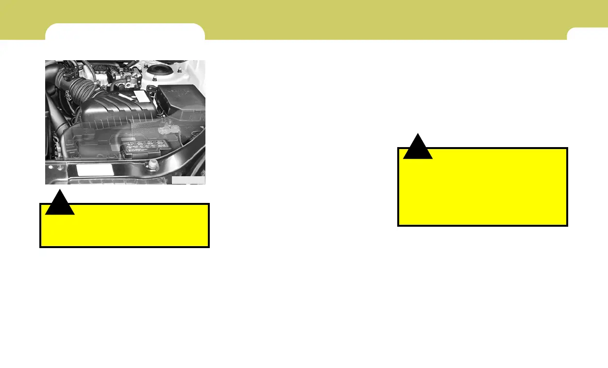Page #242 background image