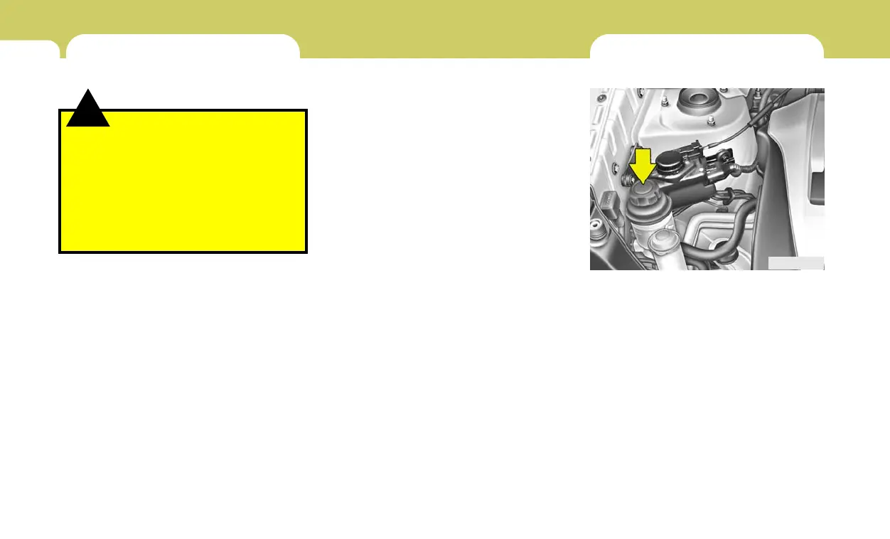 Page #243 background image