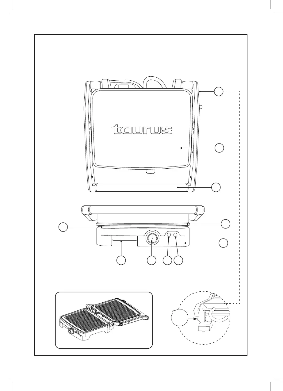 Page #2 background image