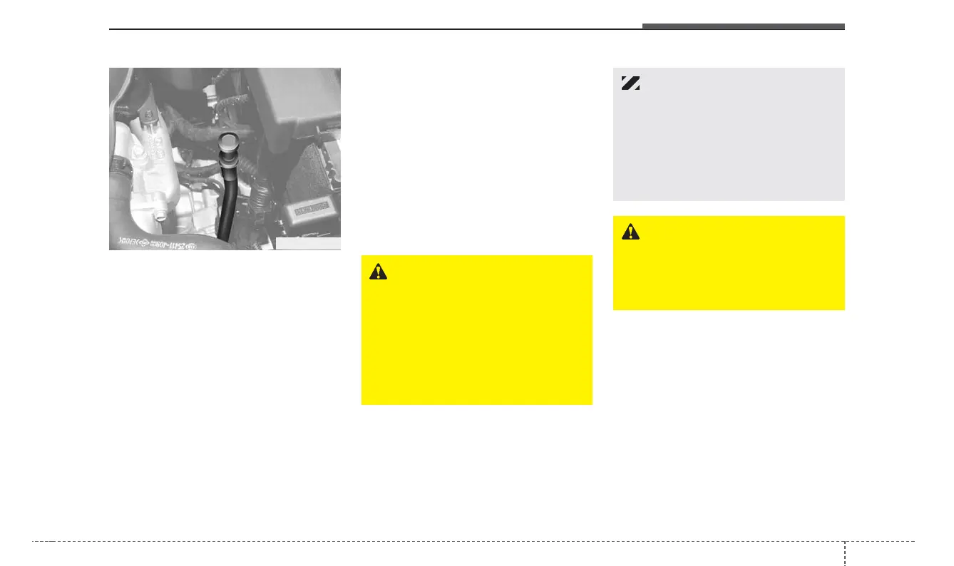 Page #331 background image