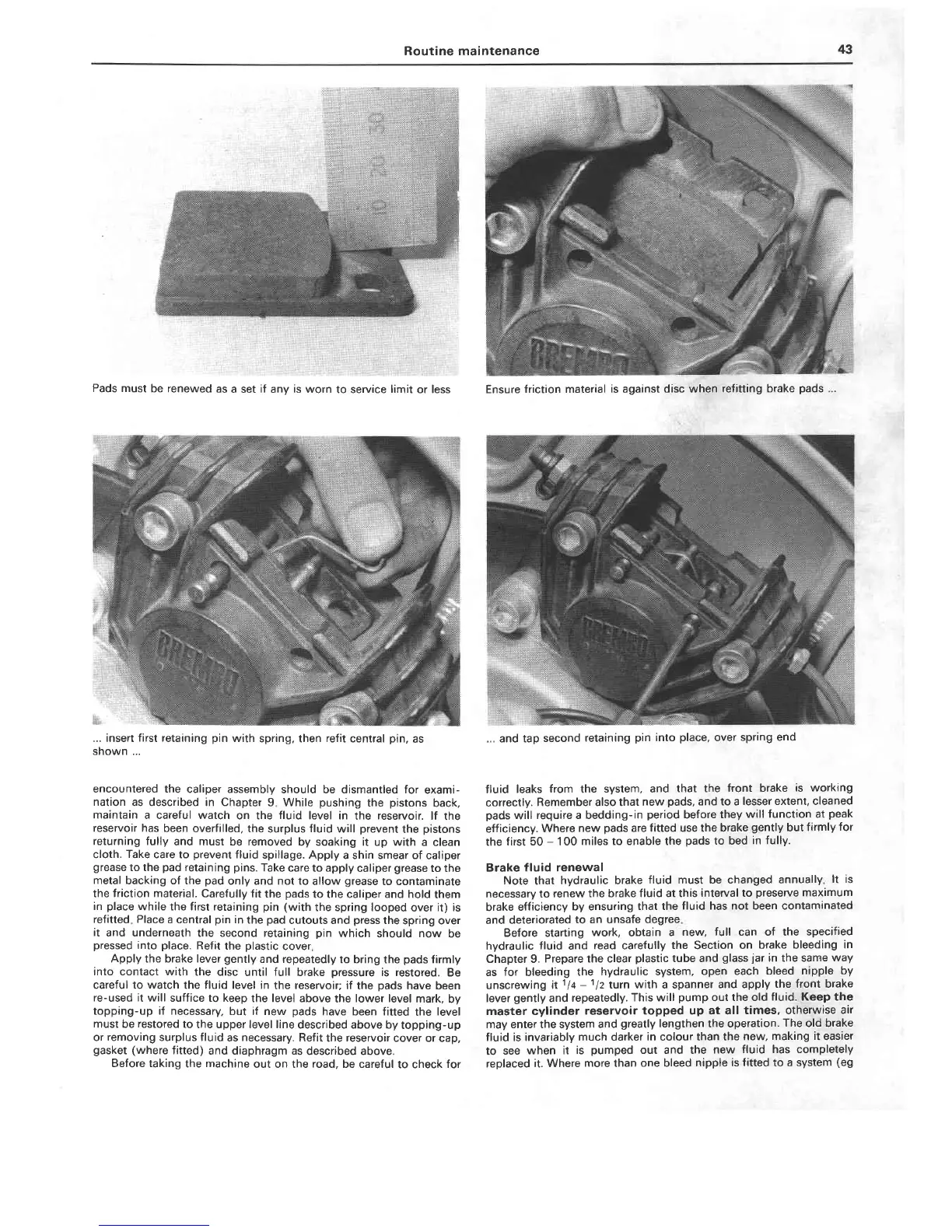 Page #43 background image