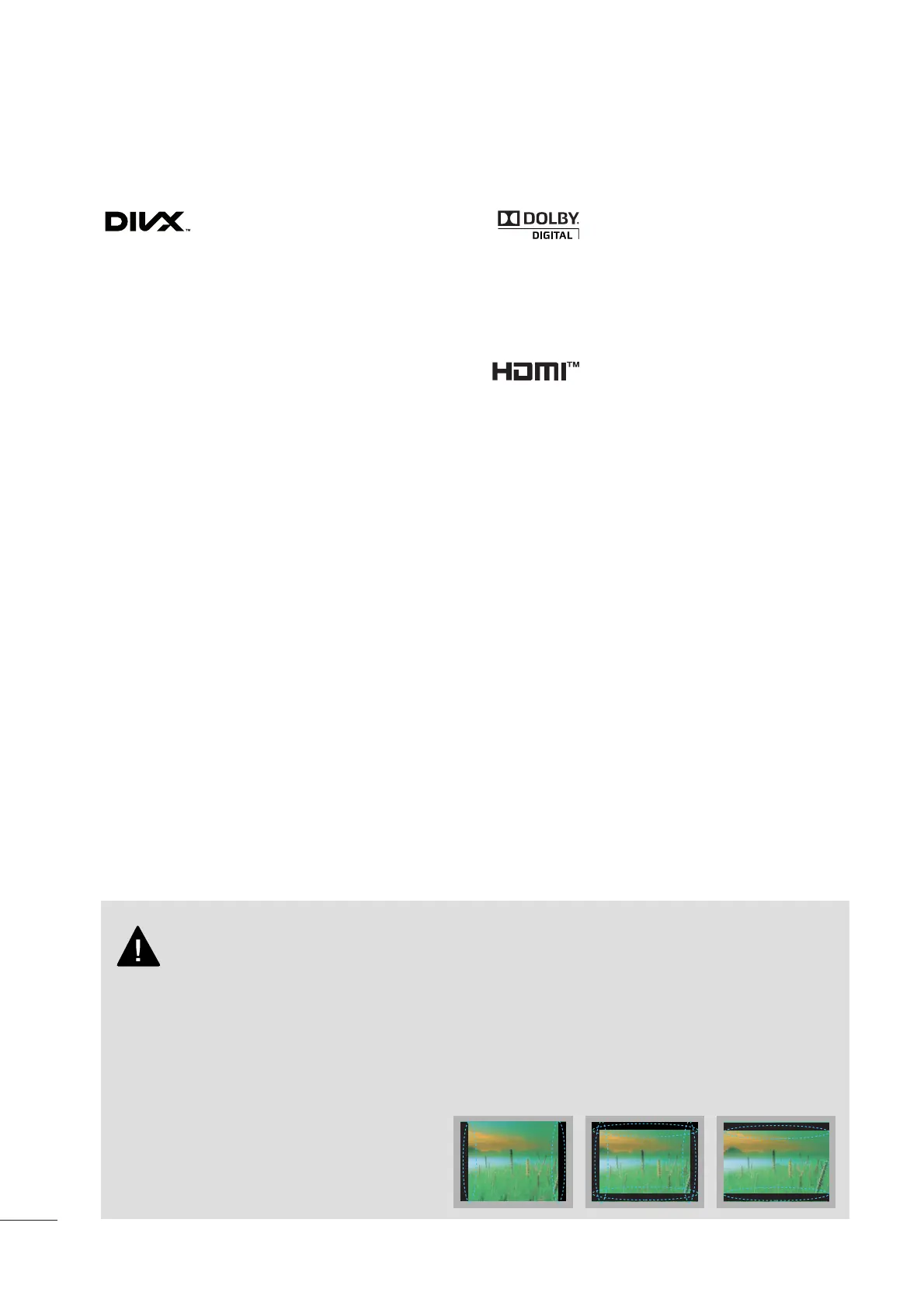 Page #8 background image