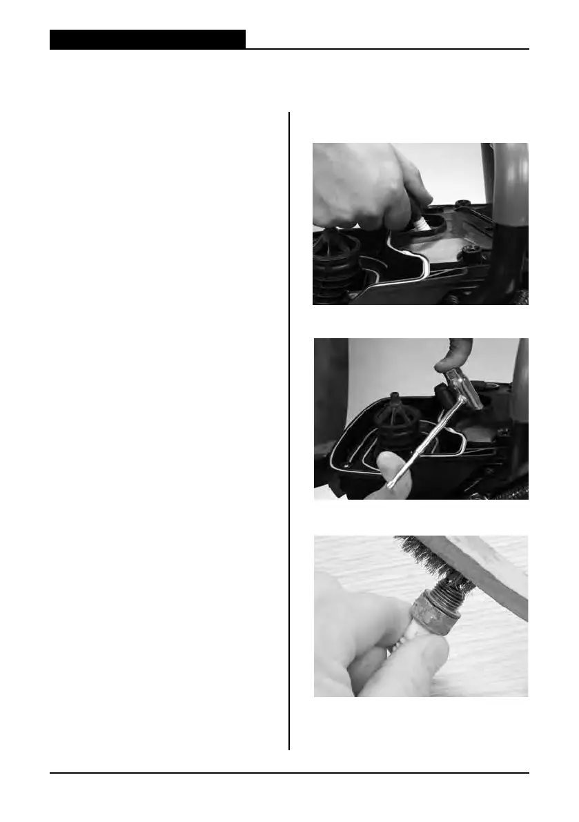Page #19 background image