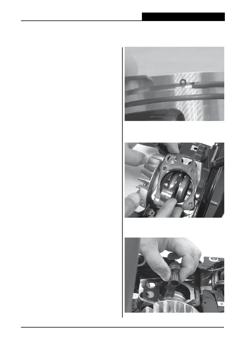 Page #46 background image