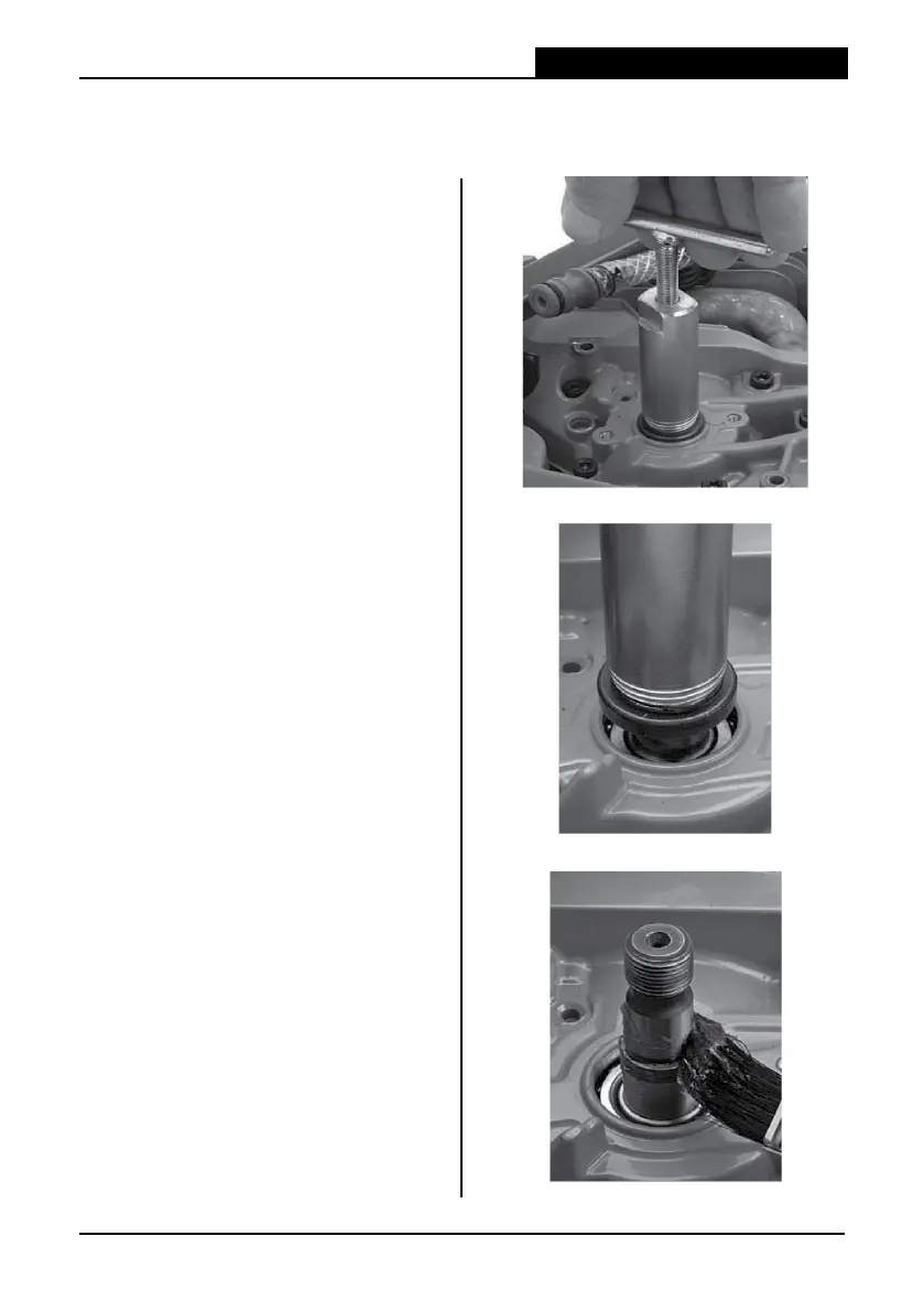 Page #64 background image