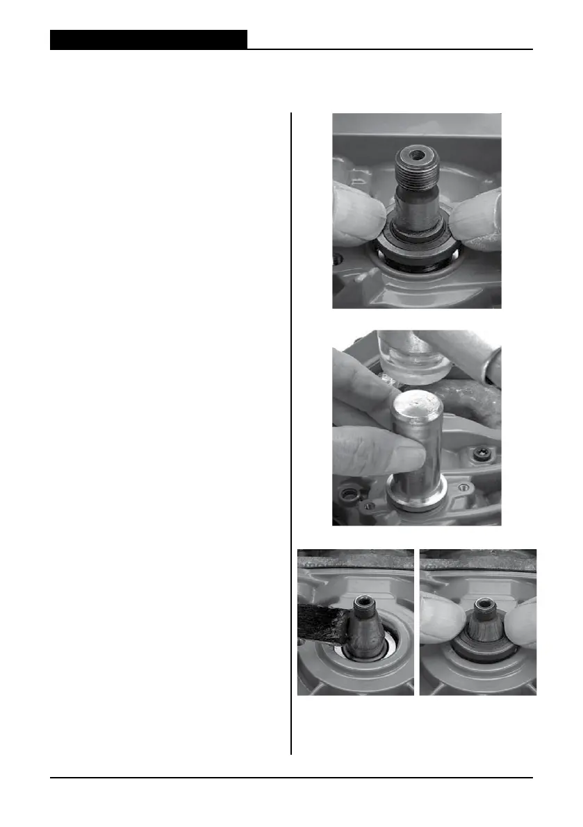 Page #65 background image