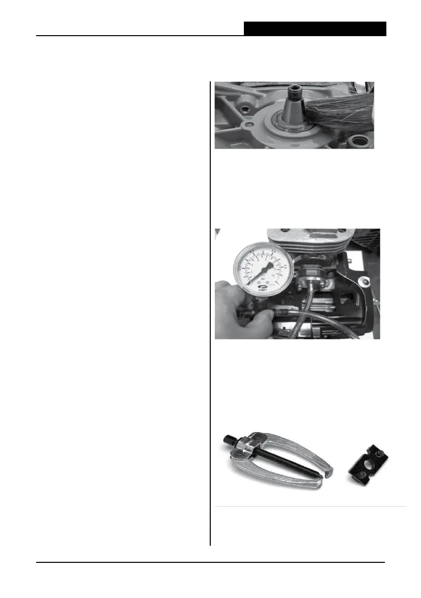 Page #66 background image