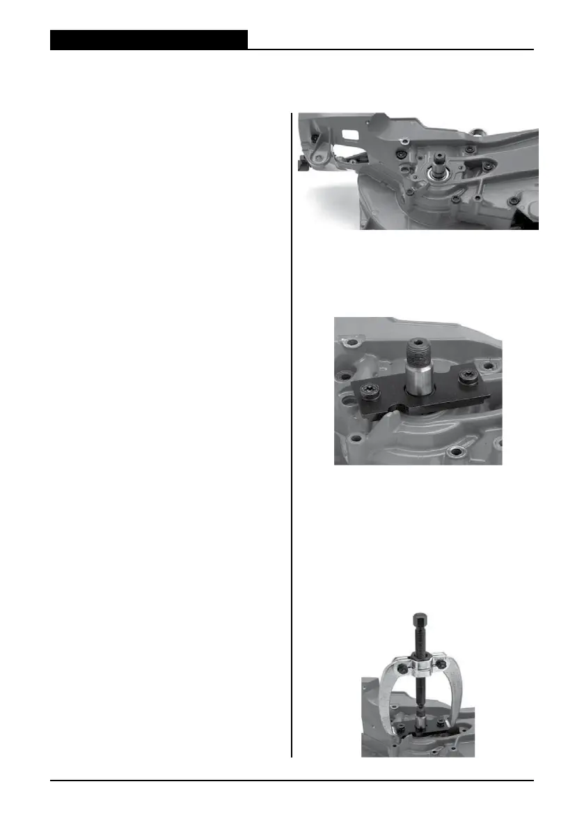 Page #67 background image