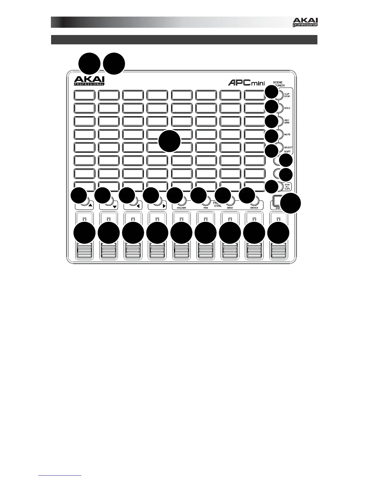 Page #3 background image
