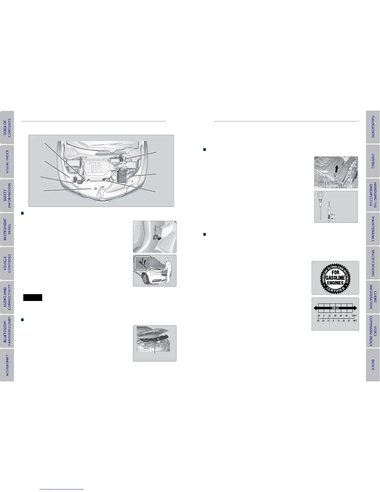 Page #66 background image