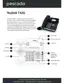 Preview: Manual
