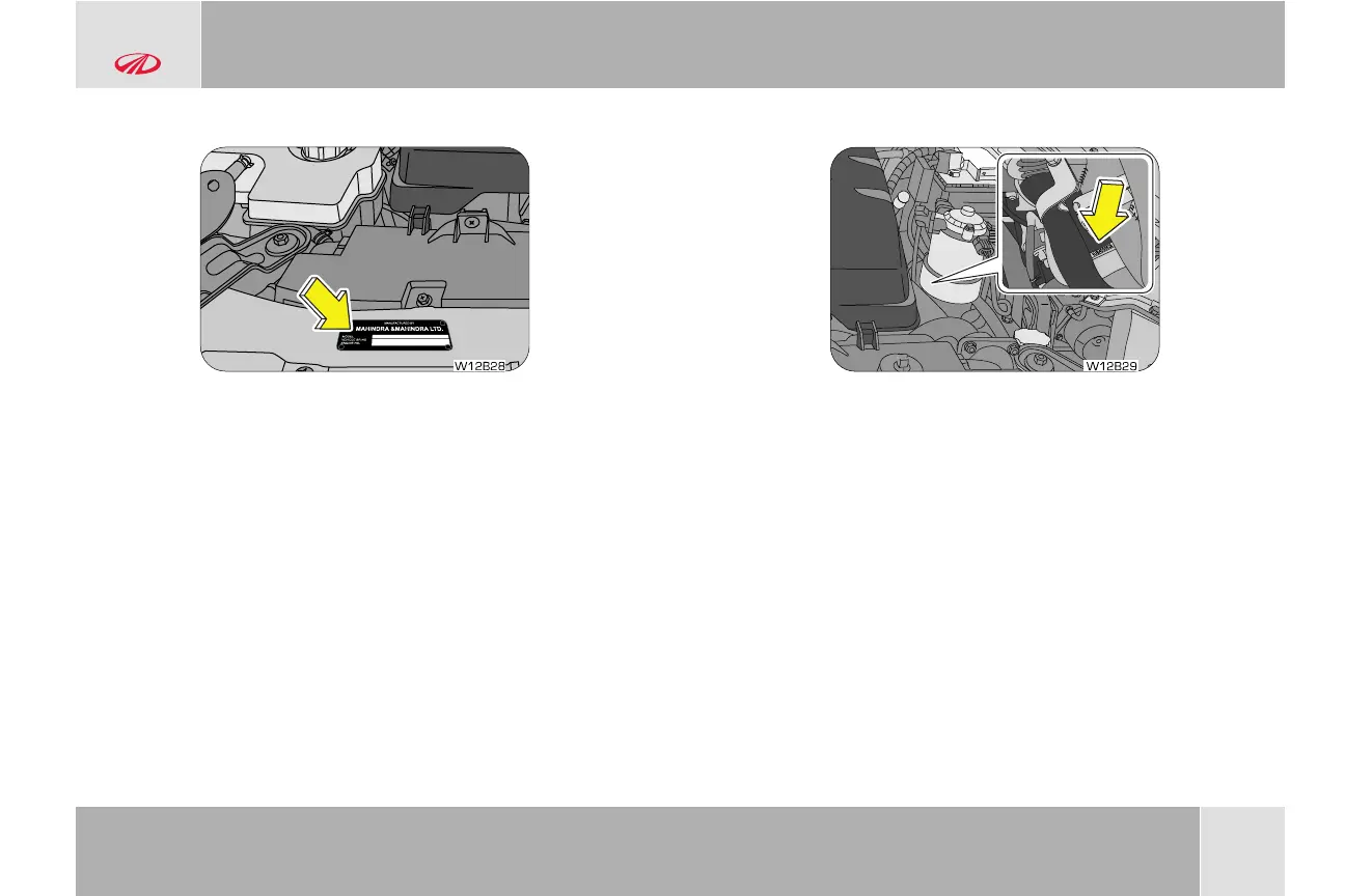 Page #40 background image