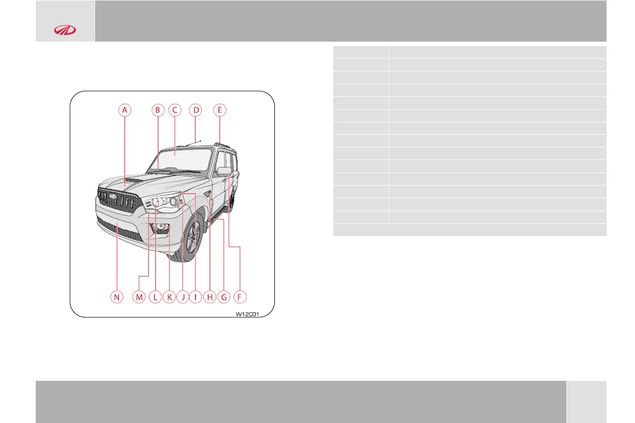 Page #42 background image