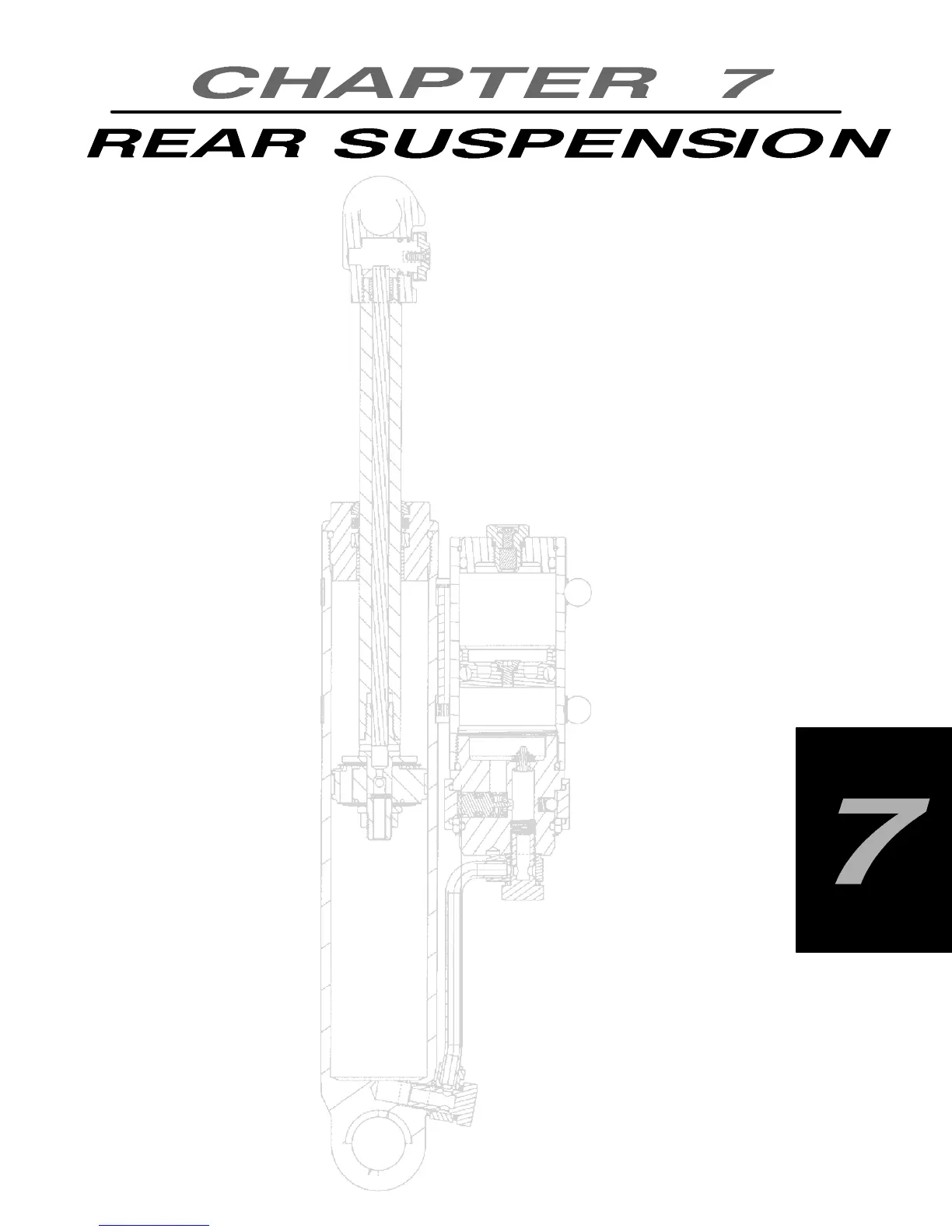Page #237 background image