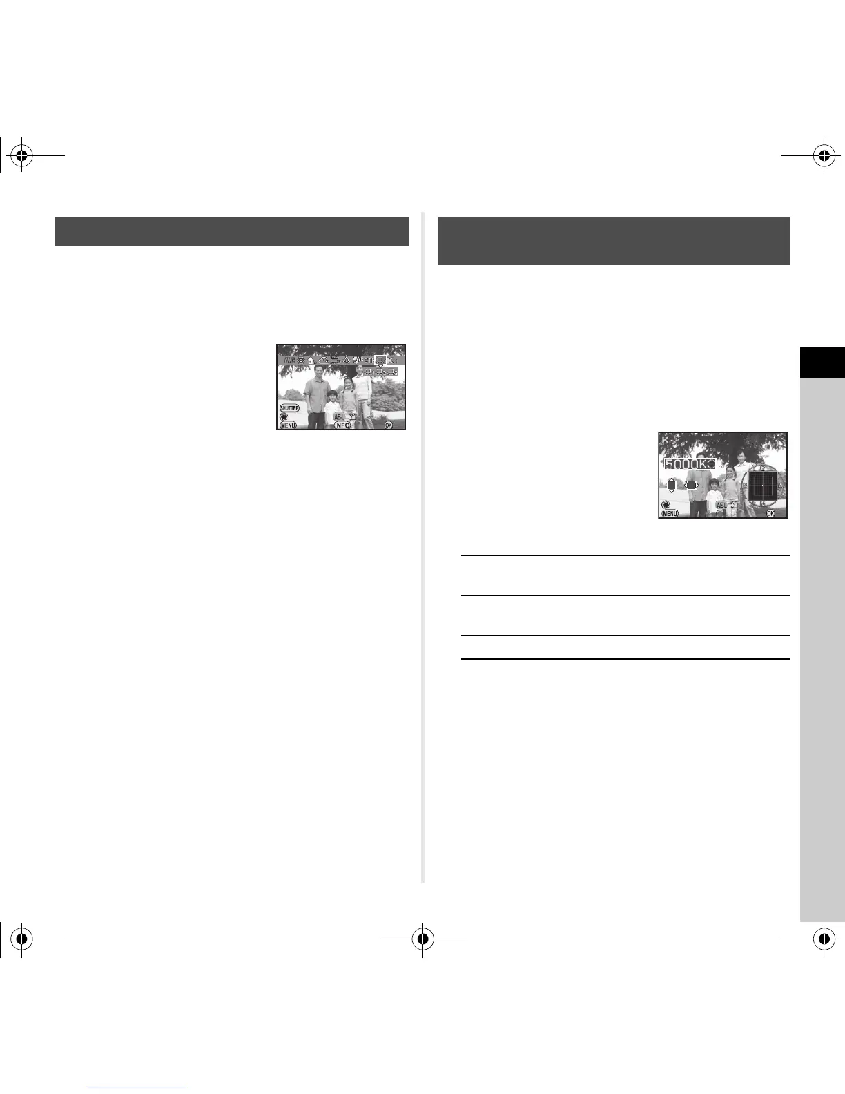 Page #59 background image
