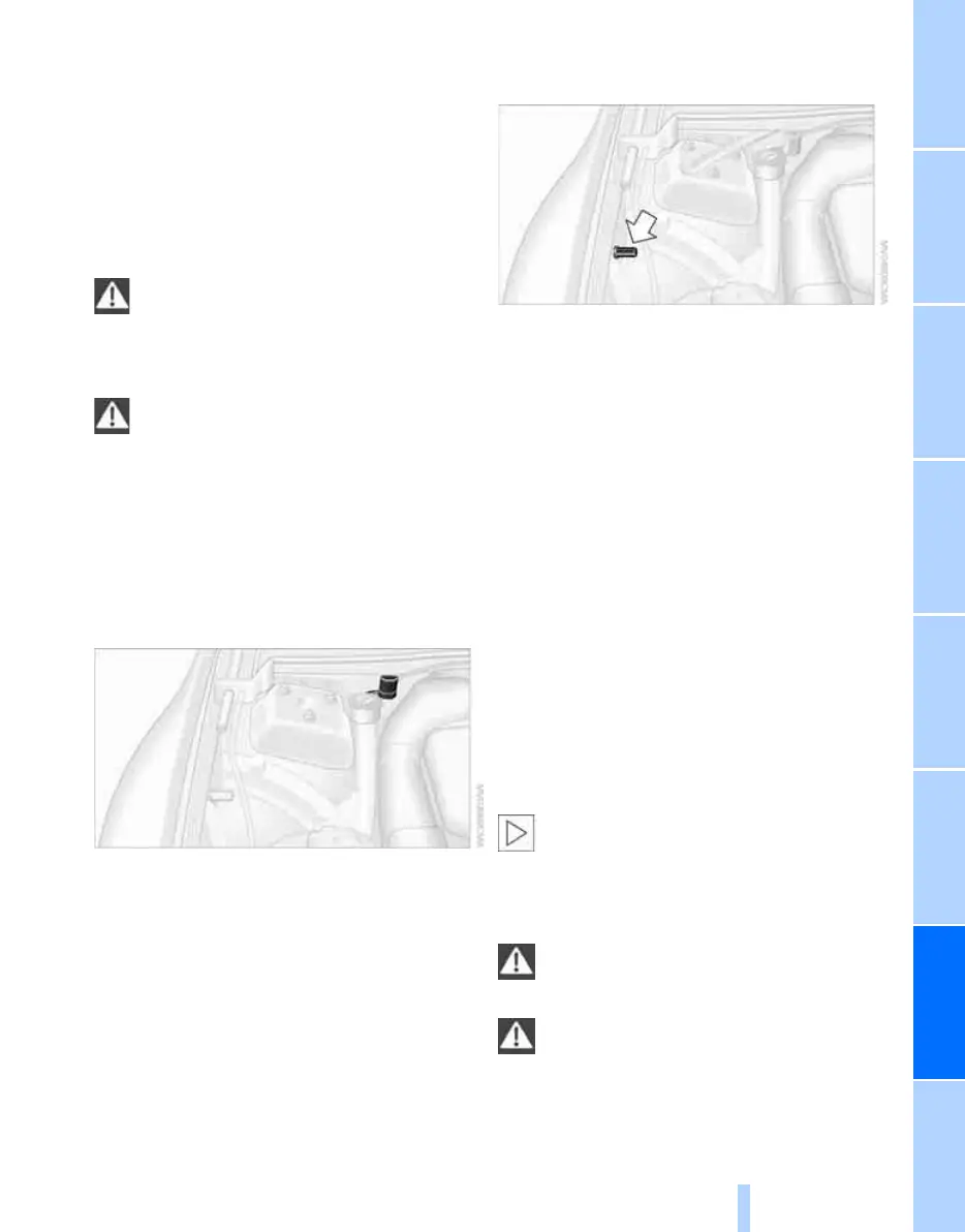 Page #231 background image