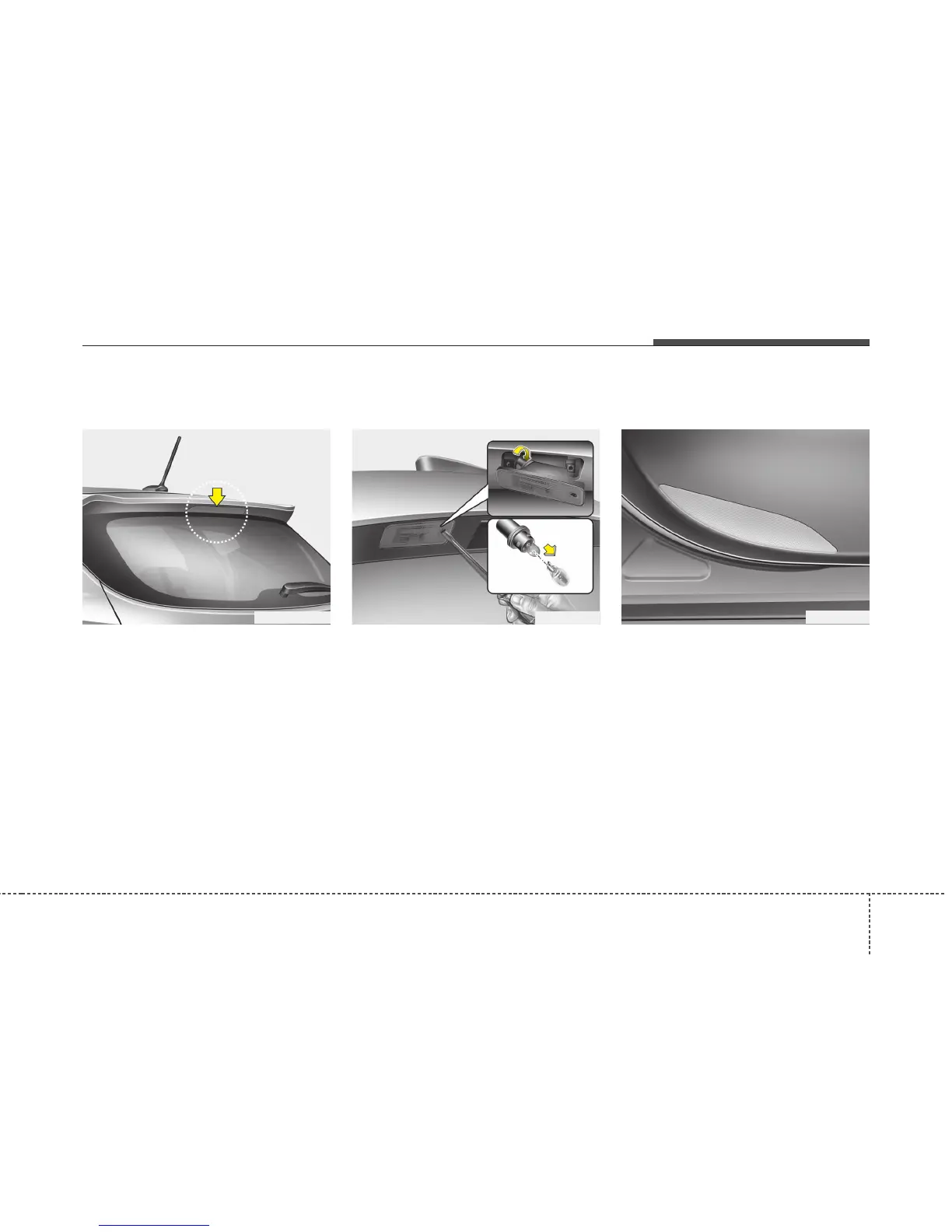 Page #571 background image
