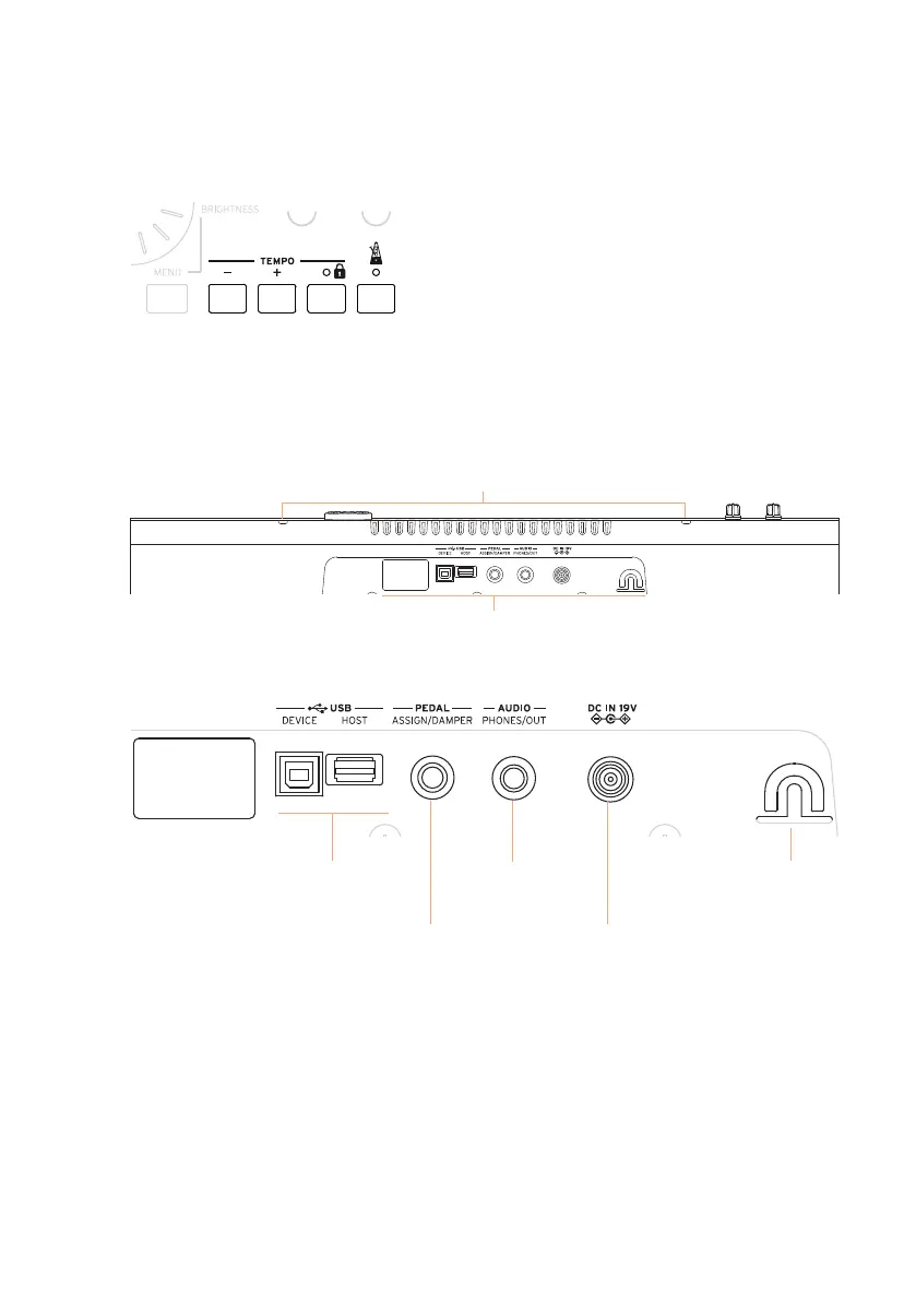 Page #17 background image