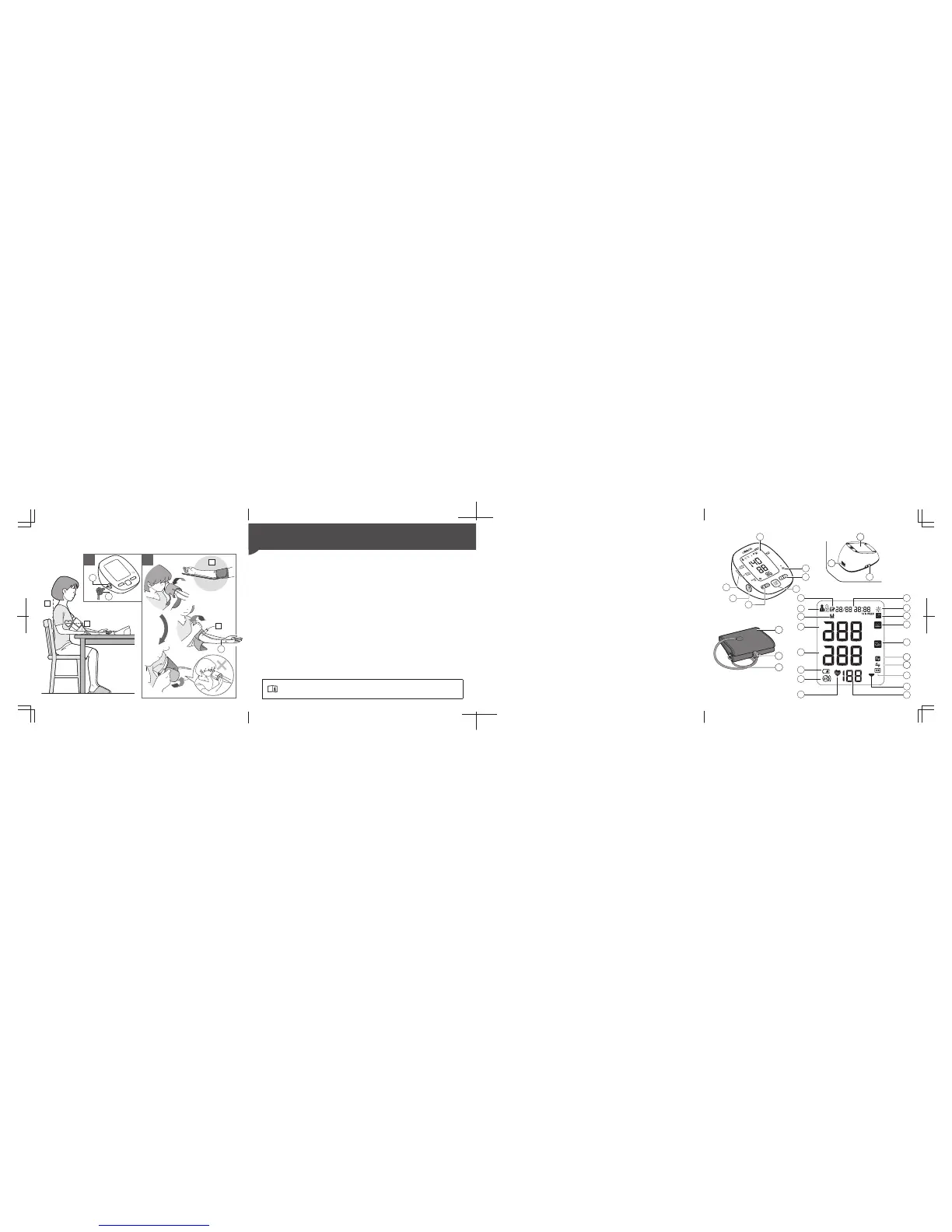 Page #42 background image