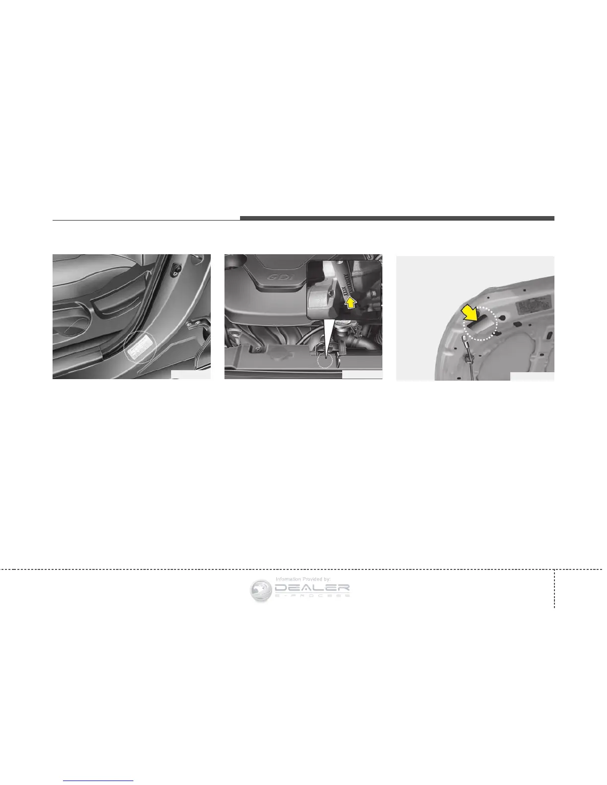 Page #445 background image