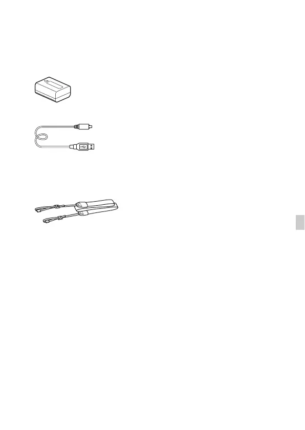 Page #231 background image