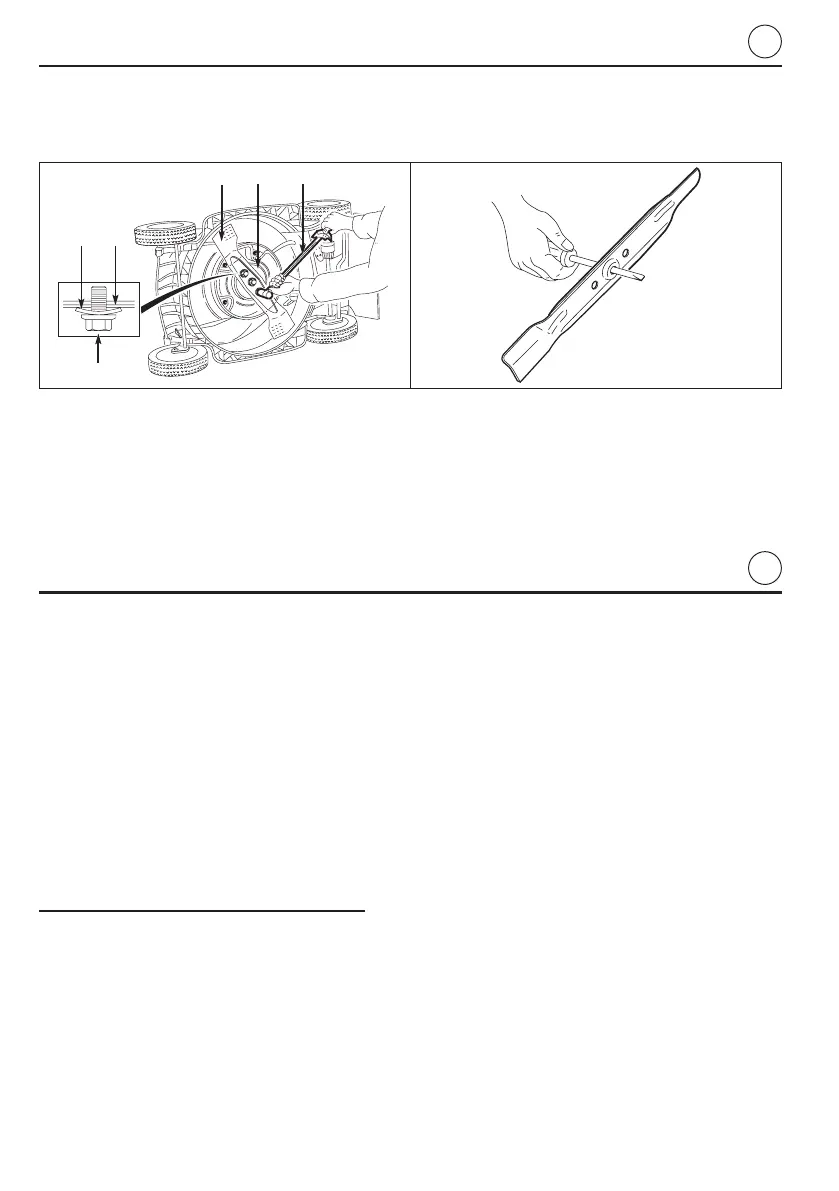 Page #62 background image