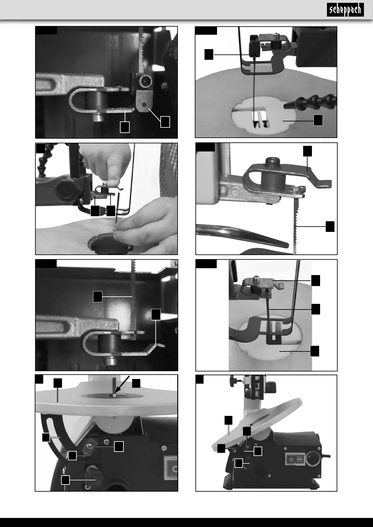 Page #5 background image