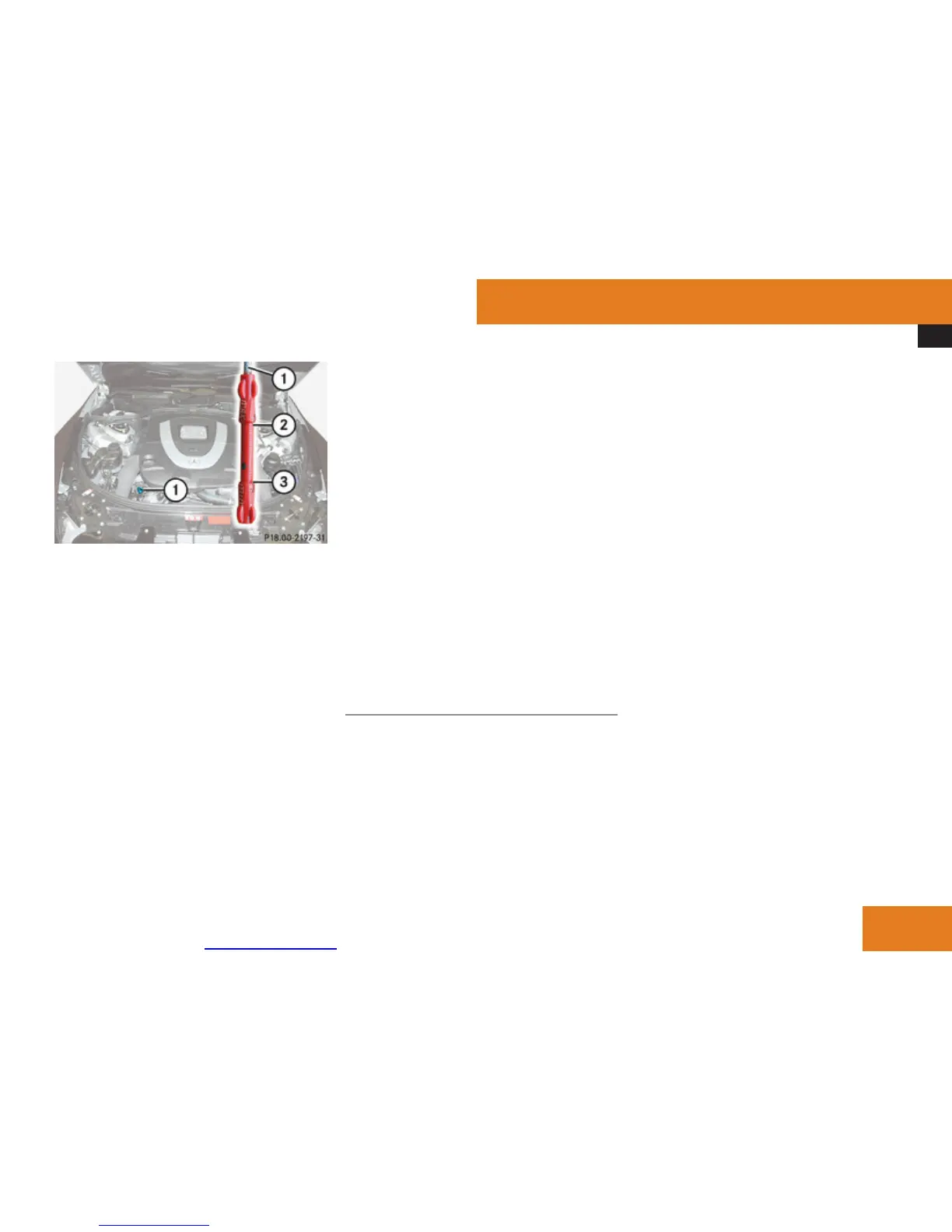 Page #427 background image