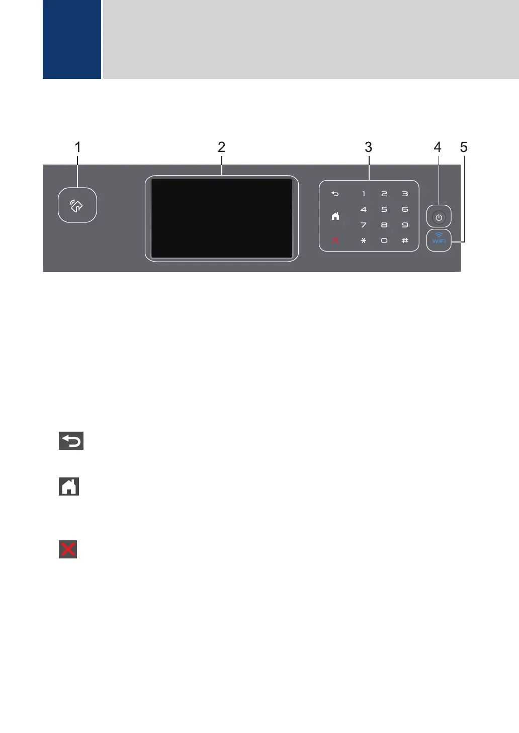 Page #5 background image