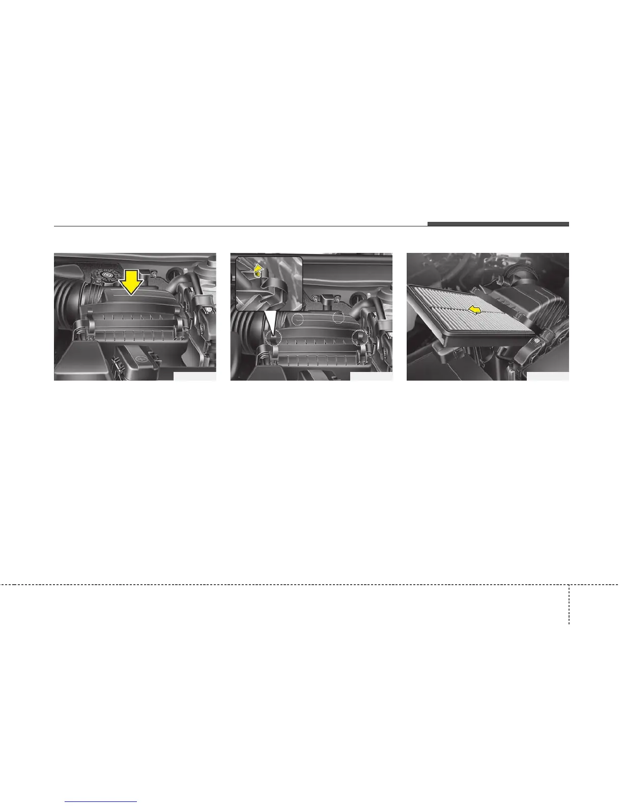 Page #446 background image