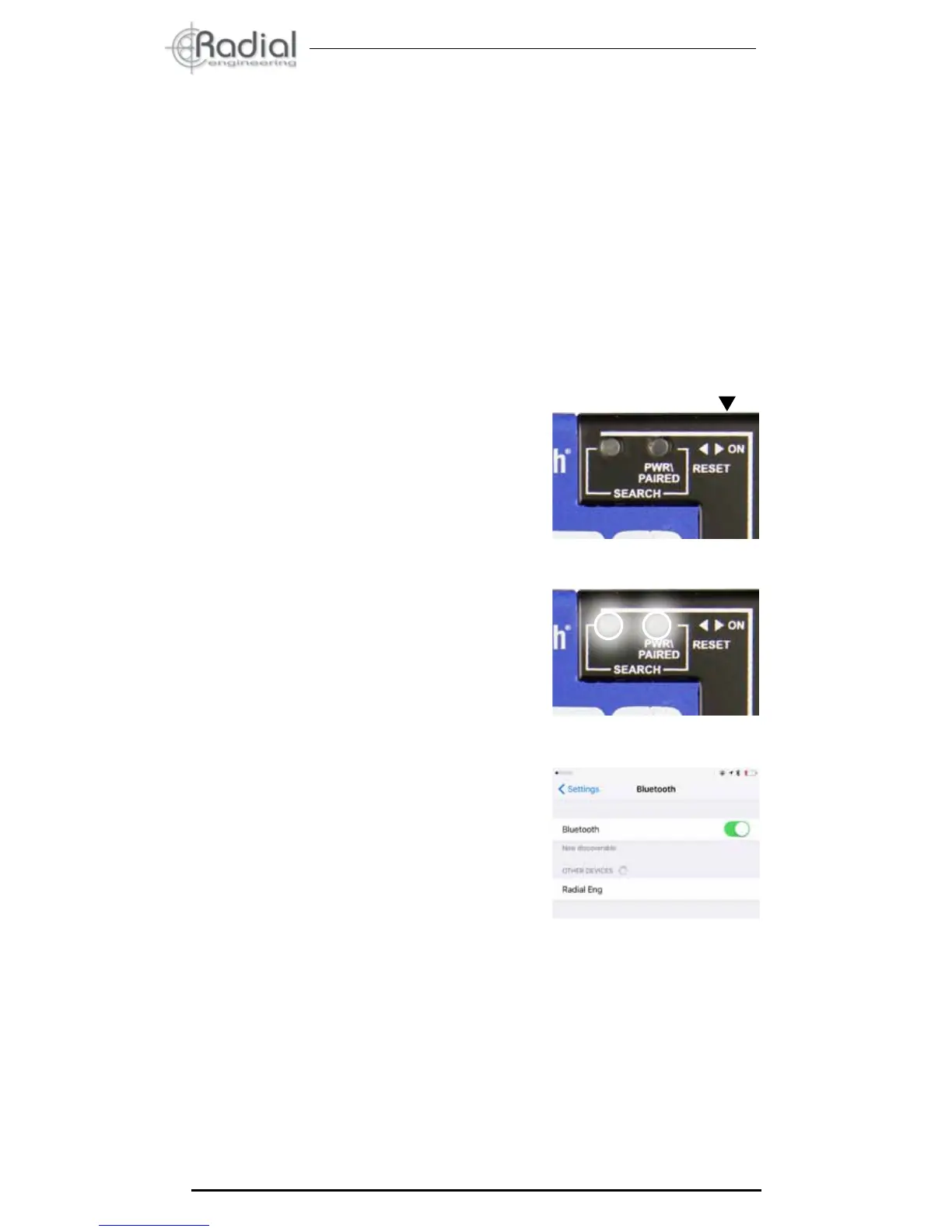 Page #8 background image