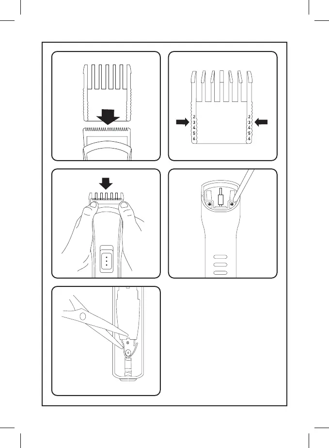 Page #3 background image