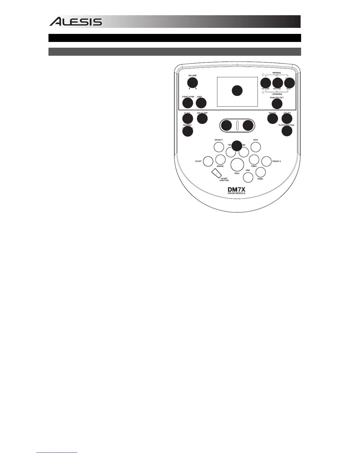 Page #4 background image