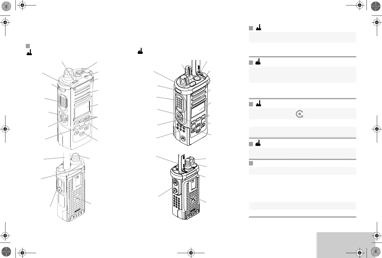 Page #17 background image