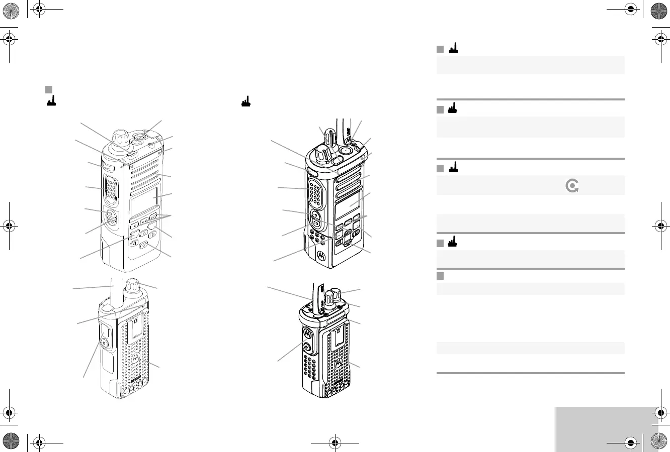 Page #37 background image