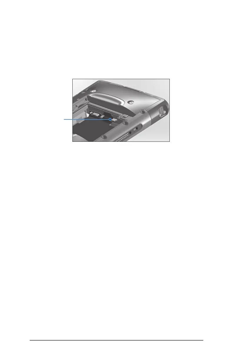 Page #31 background image