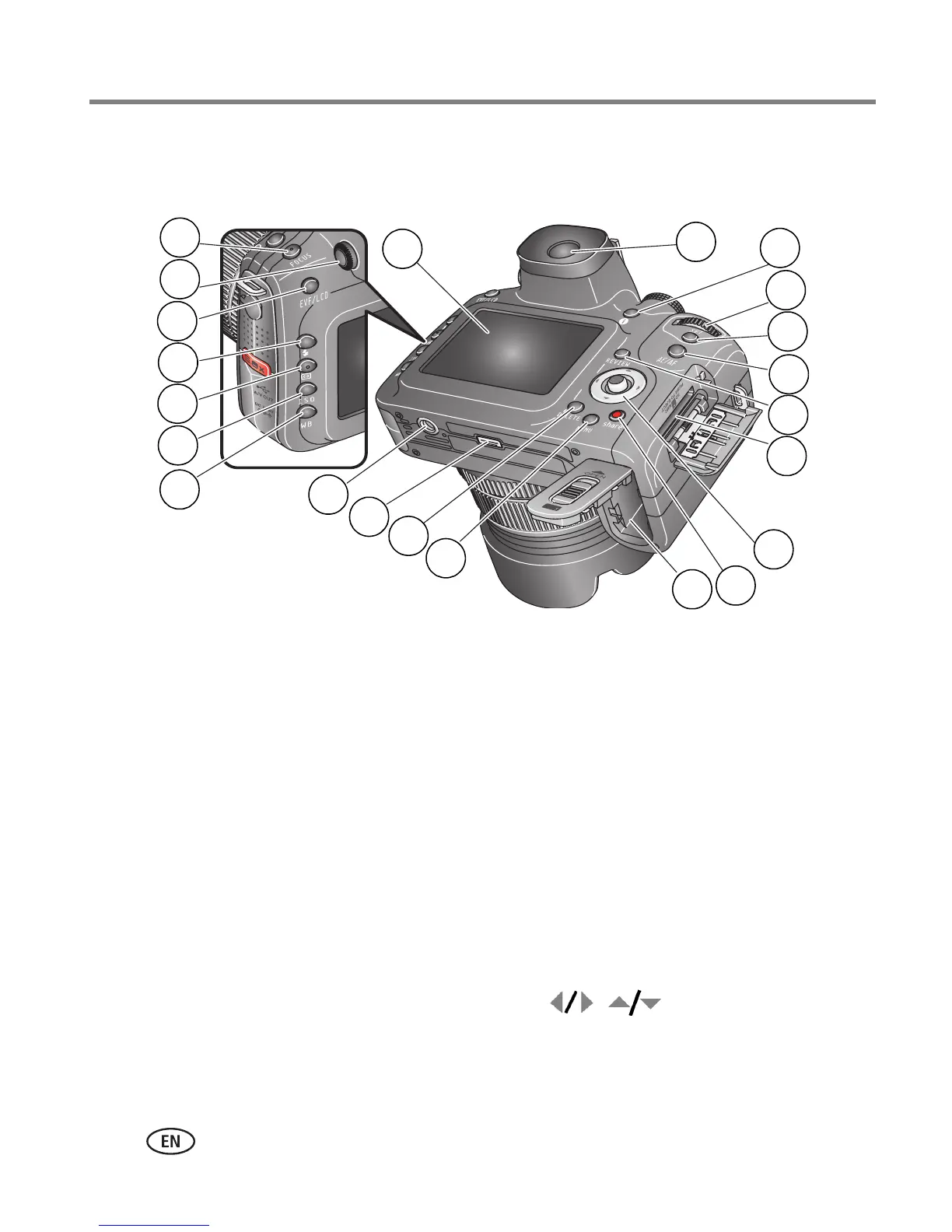 Page #4 background image