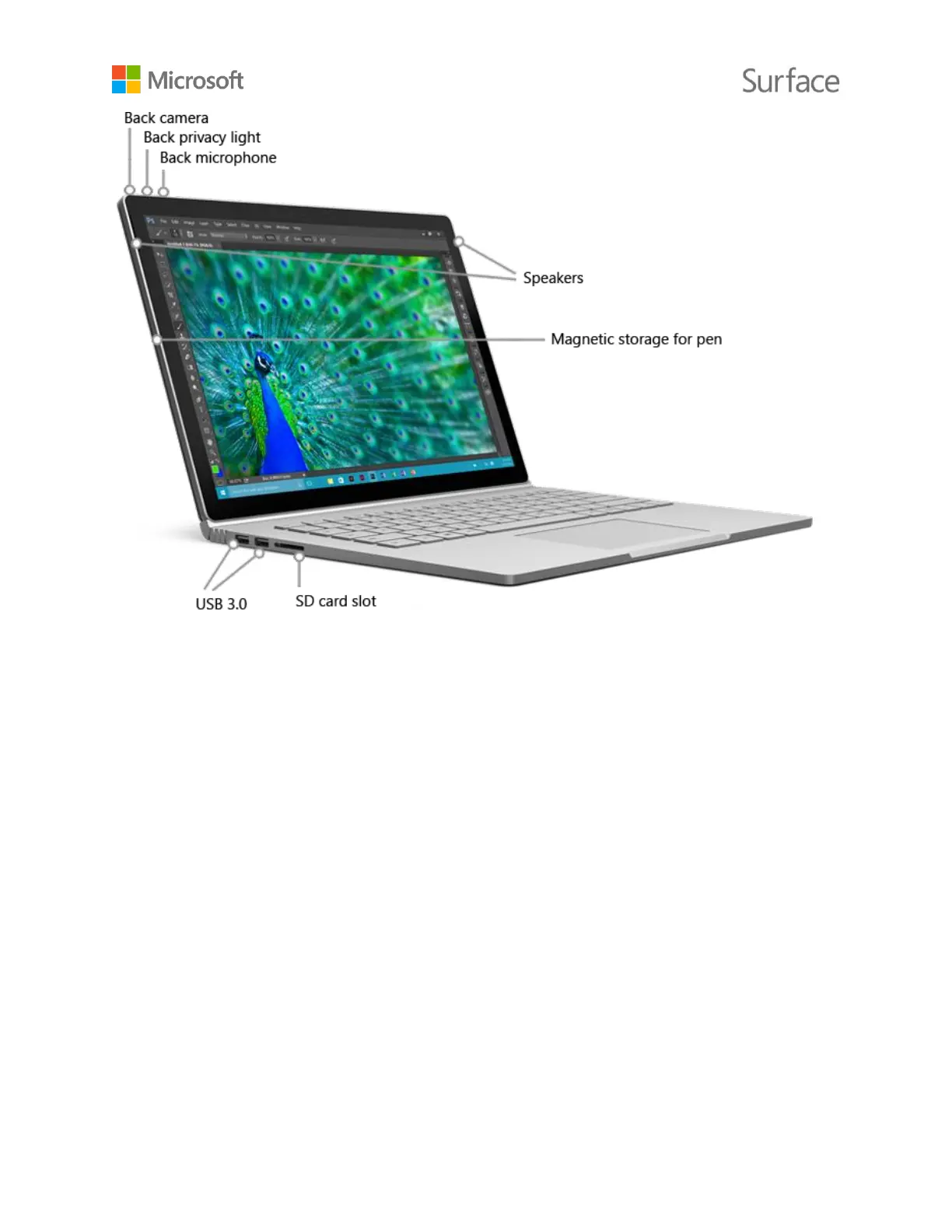 Page #8 background image