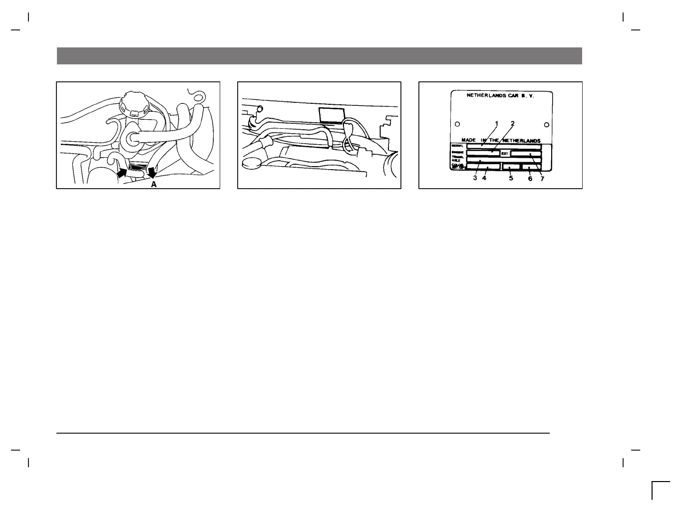 Page #261 background image
