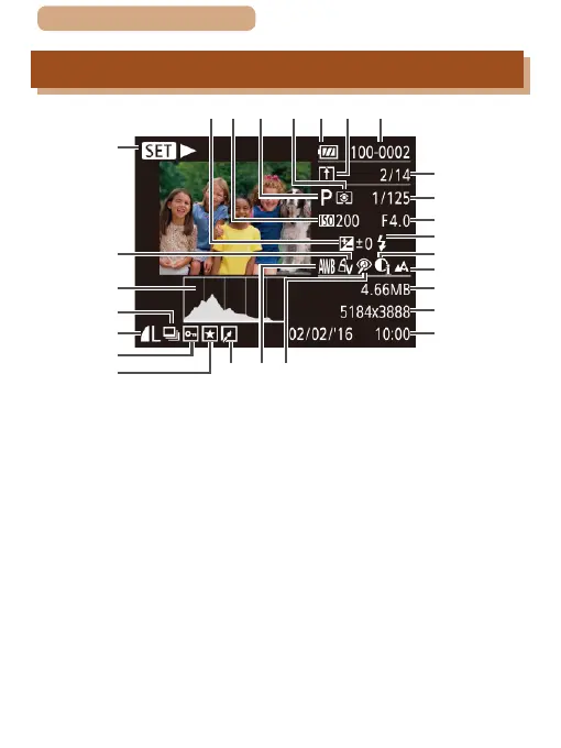 Page #312 background image