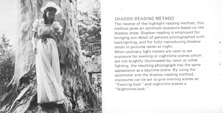 Page #19 background image