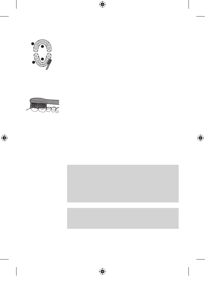 Page #24 background image